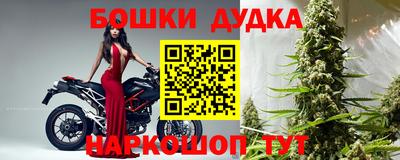 сатива Лесосибирск