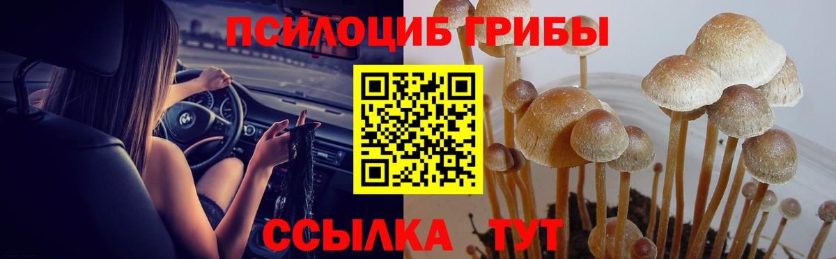 Псилоцибиновые грибы прущие грибы  купить   Шатура  Вход с VPN  Галлюциногенные грибы Magic Shrooms 